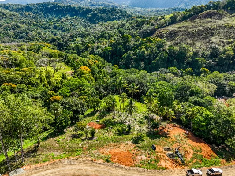 Just Over 3 Acres Riverfront Land in Platanillo Above Dominical, photo 6
