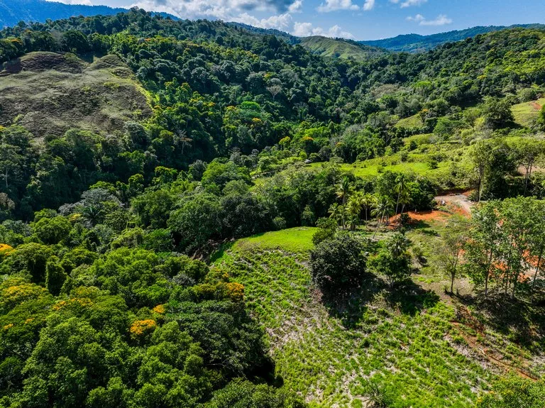 Just Over 3 Acres Riverfront Land in Platanillo Above Dominical, photo 7
