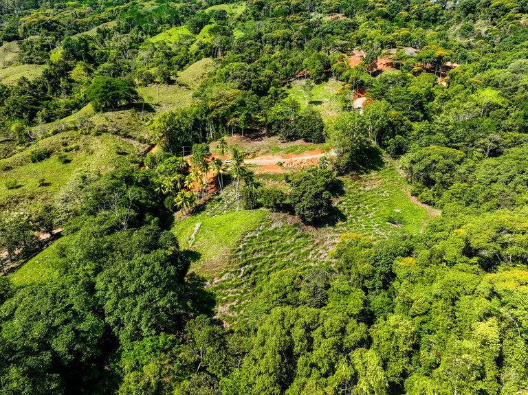Just Over 3 Acres Riverfront Land in Platanillo Above Dominical, photo 8