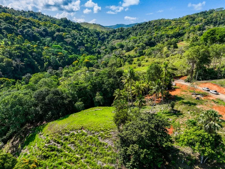 Just Over 3 Acres Riverfront Land in Platanillo Above Dominical, photo 10