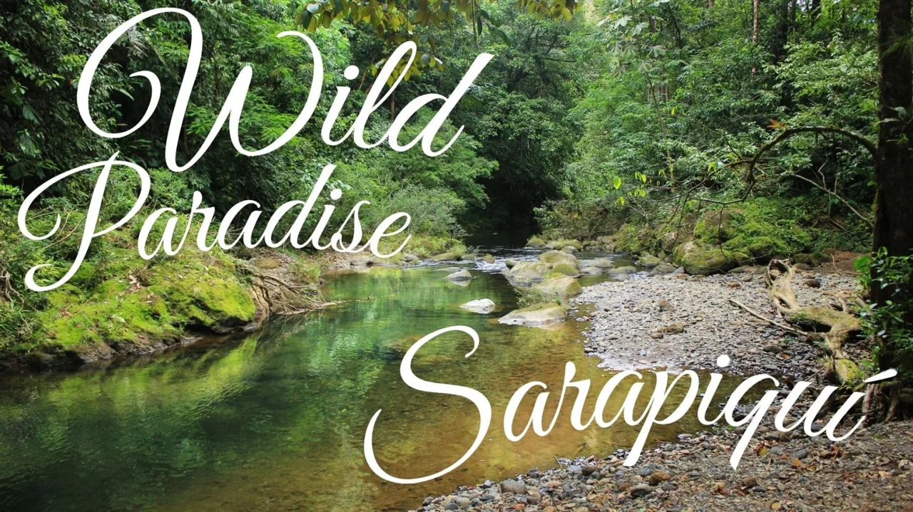 PRICE DROP - NEGOTIABLE!!! A Sanctuary of Ecological Connectivity and Ecotourism Opportunity in Sarapiquí