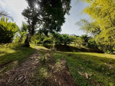 Oportunidad de inversión privilegiada. Terreno de desarrollo de lujo., photo 6