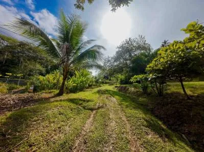 Oportunidad de inversión privilegiada. Terreno de desarrollo de lujo., photo 7