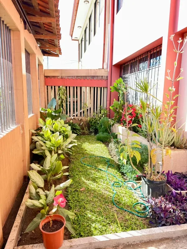 Two independent houses for sale in Barrio Córdoba, Zapote., photo 7