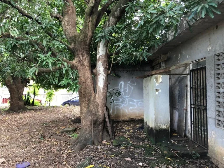 Development Parcel in Nicoya