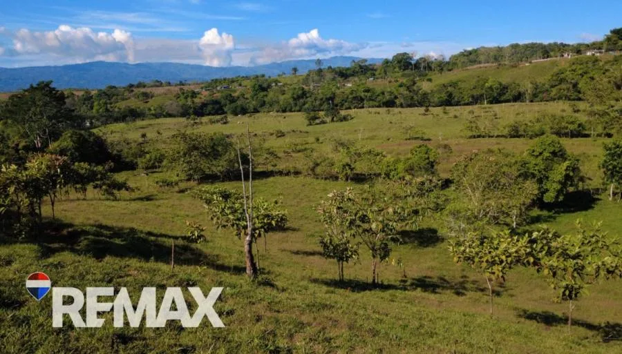 FINCA EN VENTA DE 65.639 m² CON VISTA AL CERRO CHIRRIPÓ – FRENTE A CALLE PAVIMENTADA - Venta en Perez Zeledón, photo 6