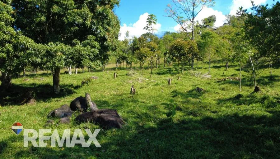 FINCA EN VENTA DE 65.639 m² CON VISTA AL CERRO CHIRRIPÓ – FRENTE A CALLE PAVIMENTADA - Venta en Perez Zeledón, photo 8