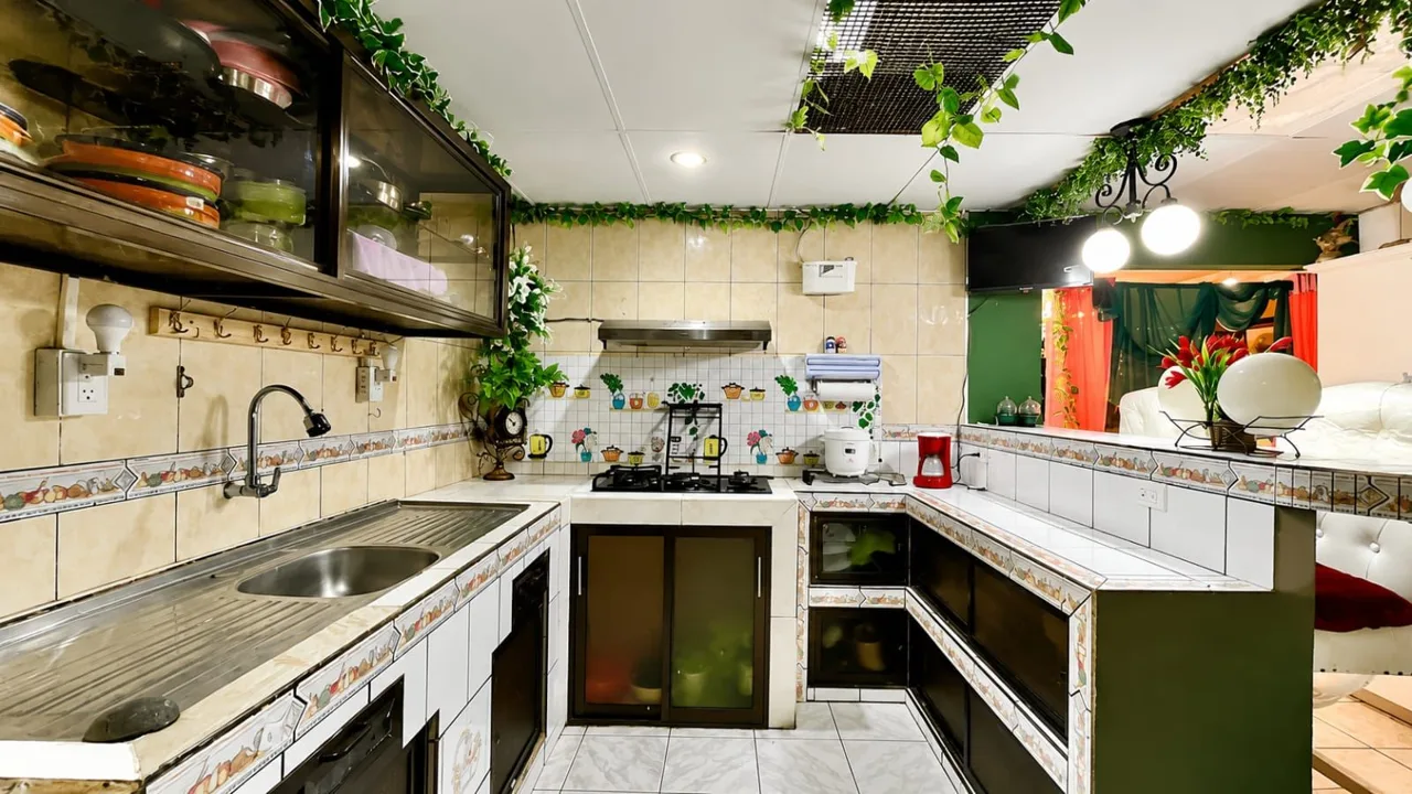 House for Sale in Barrio Las Americas, Perez Zeledon: Central Location and Immediate ROI Investment Property, photo 6