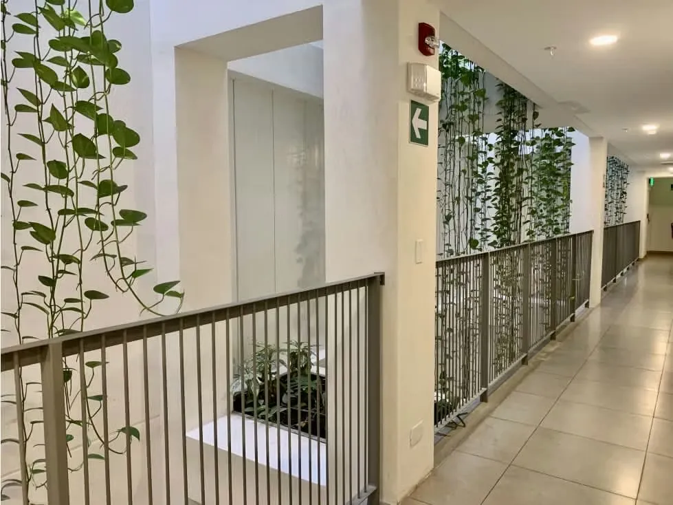 Acogedor apartamento en el céntrico Barrio Escalante, con estratégica ubicación en las cercanías de San Jose, San Pedro, de todo tipo de comercio y en la reconocida zona ..., photo 3