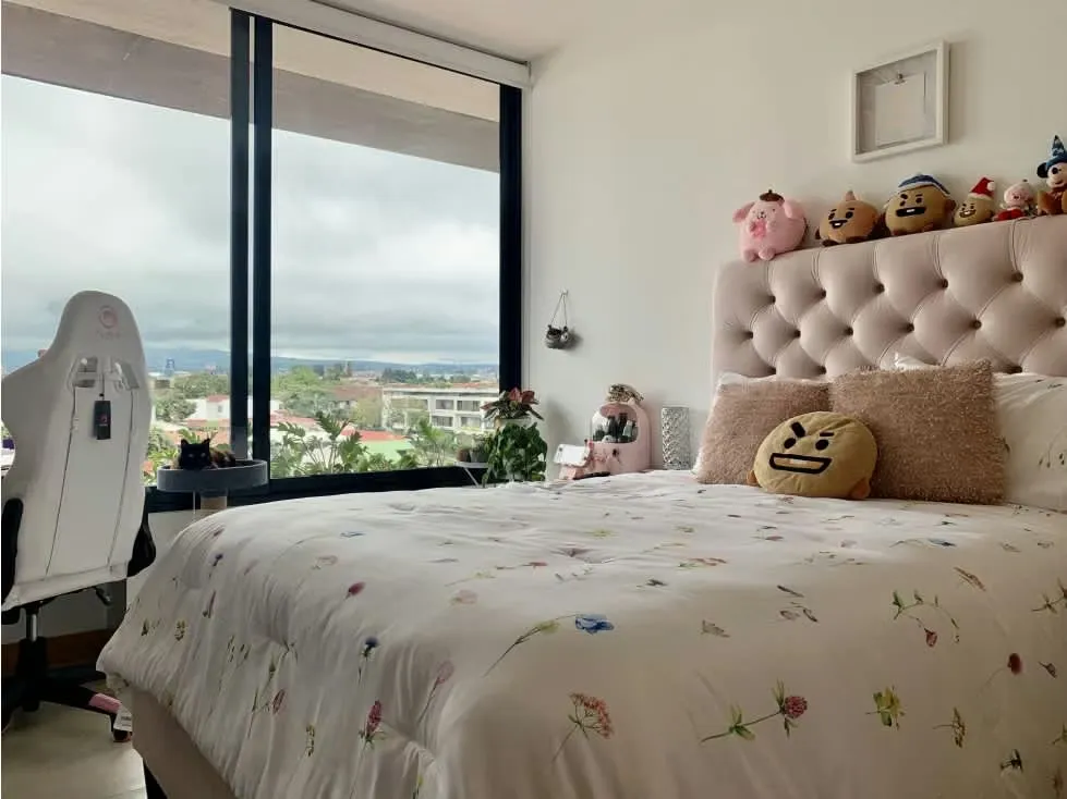 Acogedor apartamento en el céntrico Barrio Escalante, con estratégica ubicación en las cercanías de San Jose, San Pedro, de todo tipo de comercio y en la reconocida zona ..., photo 8