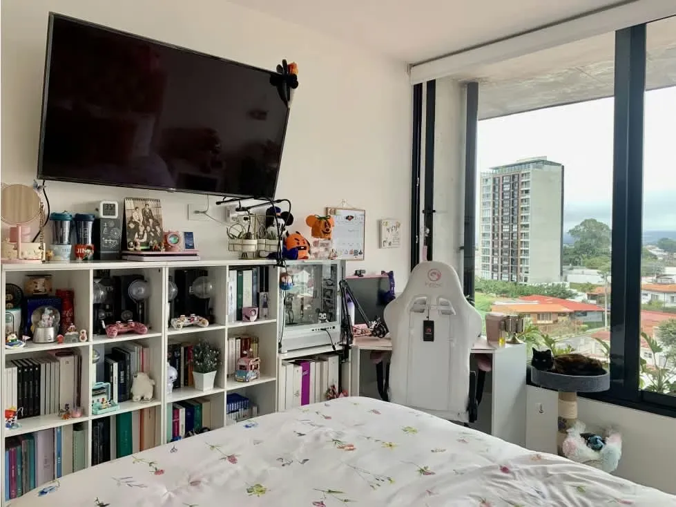 Acogedor apartamento en el céntrico Barrio Escalante, con estratégica ubicación en las cercanías de San Jose, San Pedro, de todo tipo de comercio y en la reconocida zona ..., photo 9