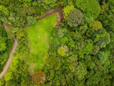 BUILDING MOUNTAIN PROPERTY WITH MOUNTAINS VIEWS, IN TRES RIOS – 9.11 ACRES, photo 29