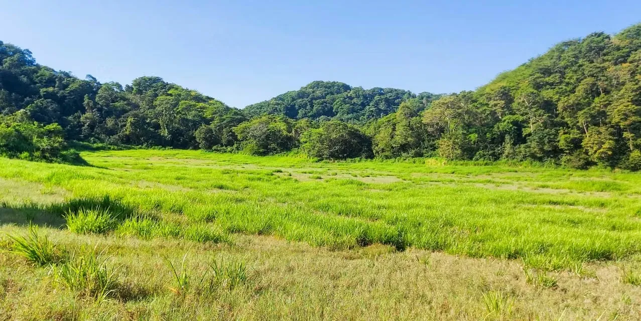 Farm Estate in Puntarenas Manzanillo Ocean View Terraces Development
