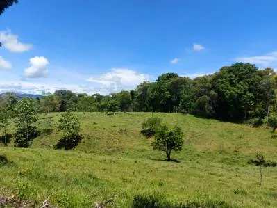 Pequeña Finca Con 4.5 Ha De Terreno, Casa Tica, Zona Las Delicias / Bijagual.