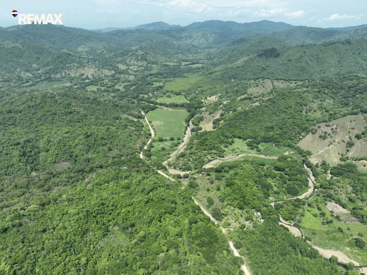 Cacao Farm with Irrigation &amp; Public Road Frontage | 130,660 m² | La Fresca, Lepanto, Puntarenas, photo 4