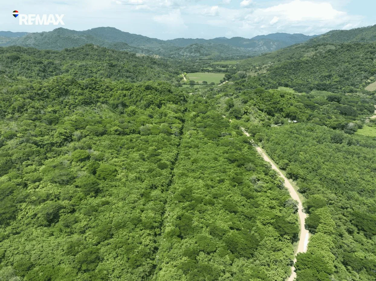 Cacao Farm with Irrigation &amp; Public Road Frontage | 130,660 m² | La Fresca, Lepanto, Puntarenas, photo 5