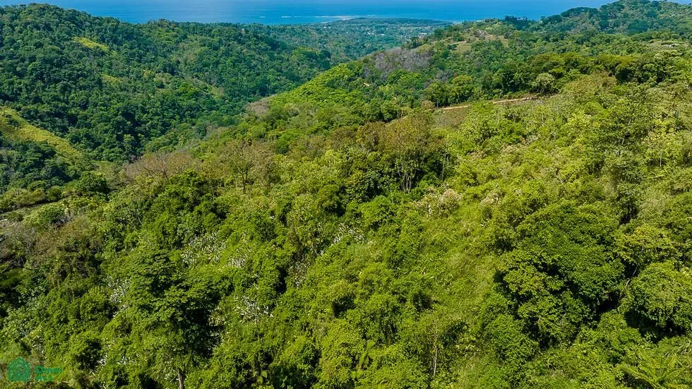 Luxury Waterfall Farm, Bahía Ballena, Puntarenas 60504