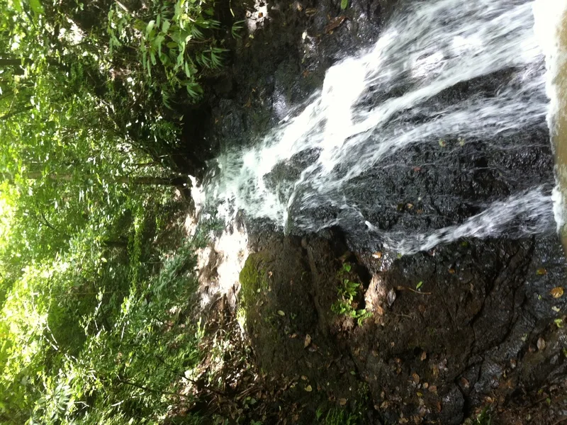 Land For Sale in Playa Guiones, photo 11