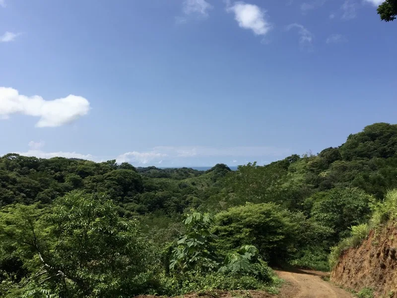 Land For Sale in Playa Guiones, photo 3