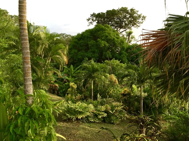 Land For Sale in Playa Guiones, photo 4