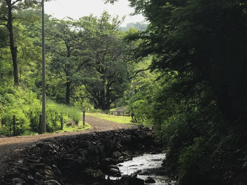 Land For Sale in Playa Guiones, photo 9
