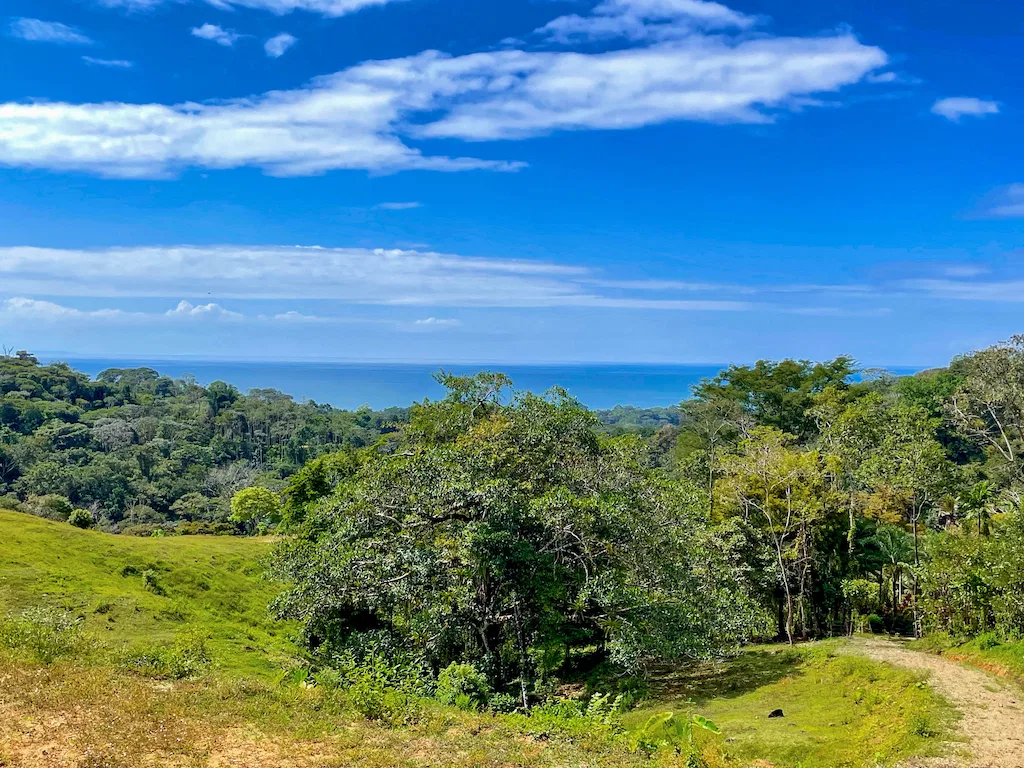 RENTAL VILLAS AND MAIN HOUSE WITH OCEAN AND MOUNTAIN VIEWS IN UVITA, photo 11