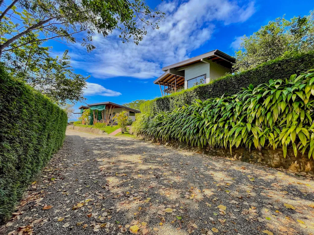 RENTAL VILLAS AND MAIN HOUSE WITH OCEAN AND MOUNTAIN VIEWS IN UVITA, photo 12