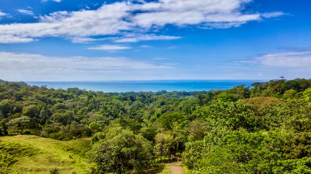 RENTAL VILLAS AND MAIN HOUSE WITH OCEAN AND MOUNTAIN VIEWS IN UVITA, photo 4