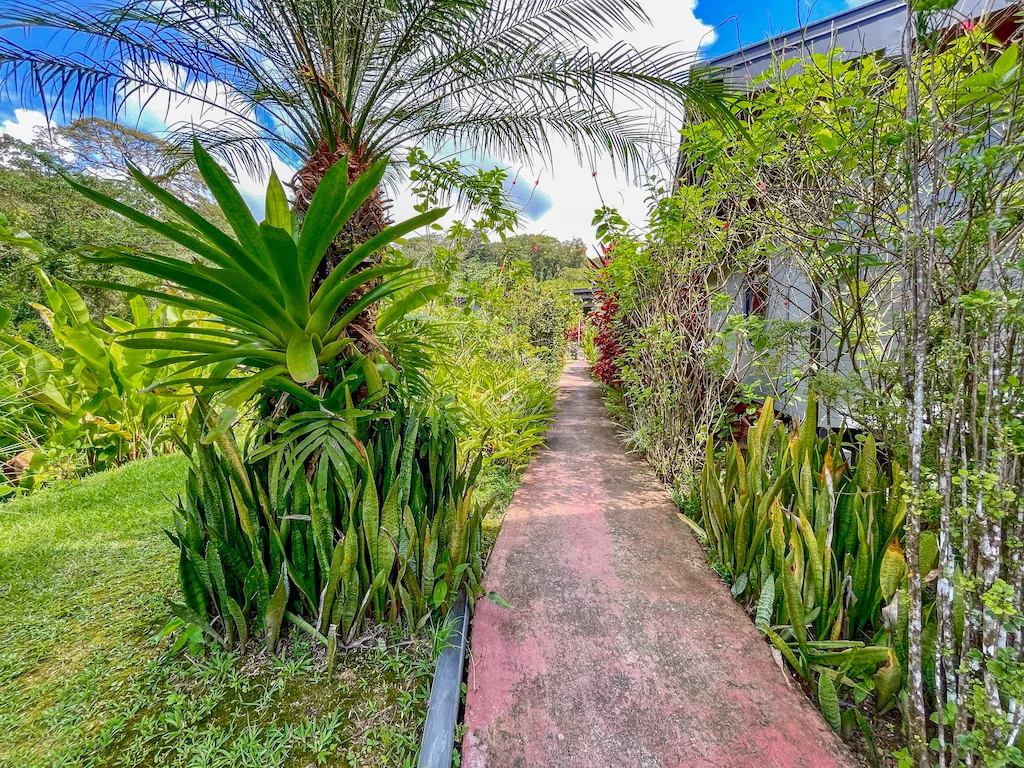 RENTAL VILLAS AND MAIN HOUSE WITH OCEAN AND MOUNTAIN VIEWS IN UVITA, photo 10
