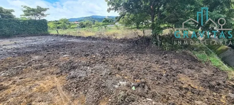 Lot for sale in Santa Ana 906m2 ID 1501
