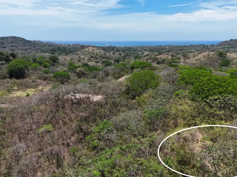 Land For Sale in Nosara