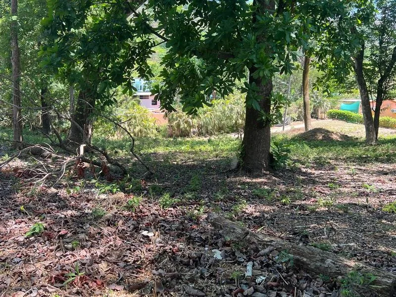 Land For Sale in Playa Carrillo