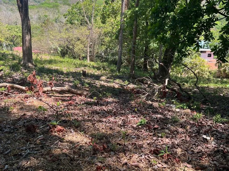 Land For Sale in Playa Carrillo, photo 2
