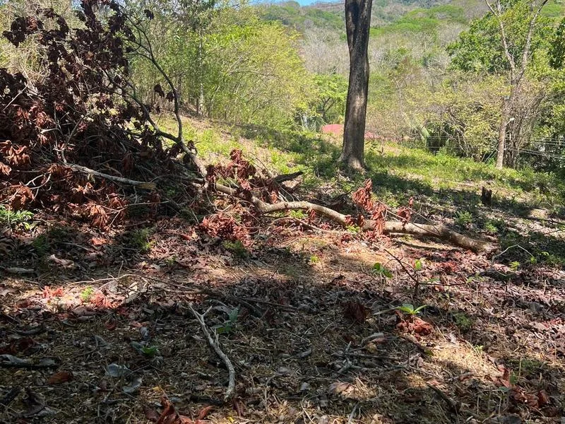 Land For Sale in Playa Carrillo, photo 3