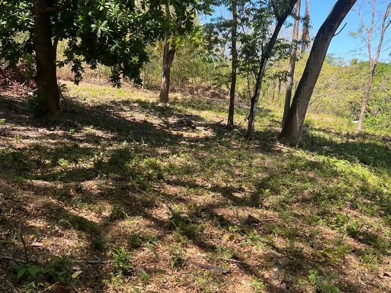 Land For Sale in Playa Carrillo, photo 4