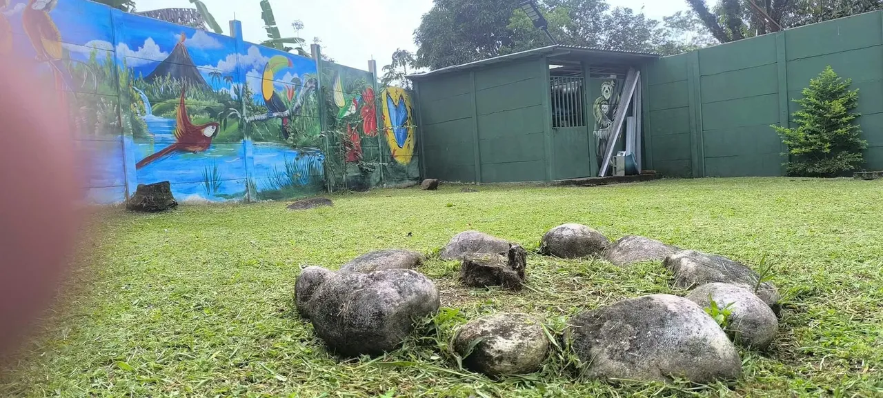 A gorgeous property with a beautiful house featuring 3 bedrooms and 2 bathrooms, located just 20 minutes from La Fortuna. The lot measures 627 m² (0.15 acres) and the construction is ..., photo 8
