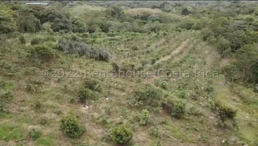 MLS-24-1860 LS VENTA LOTE DE 156.000M2 SAN JERONIMO MORAVIA - Venta en SAN JERONIMO MORAVIA