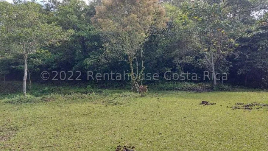 MLS-24-1860 LS VENTA LOTE DE 156.000M2 SAN JERONIMO MORAVIA - Venta en SAN JERONIMO MORAVIA, photo 9