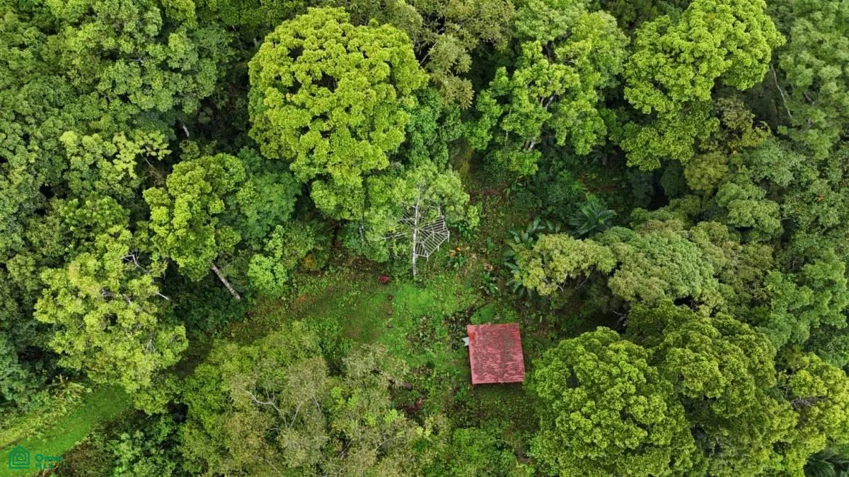 Tropical Oasis with Unmatched Views of the Diamante Waterfall , Tinamaste, Perez Zeledon, San Jose, photo 3