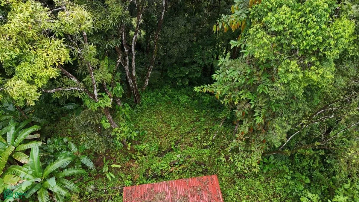 Tropical Oasis with Unmatched Views of the Diamante Waterfall , Tinamaste, Perez Zeledon, San Jose, photo 5