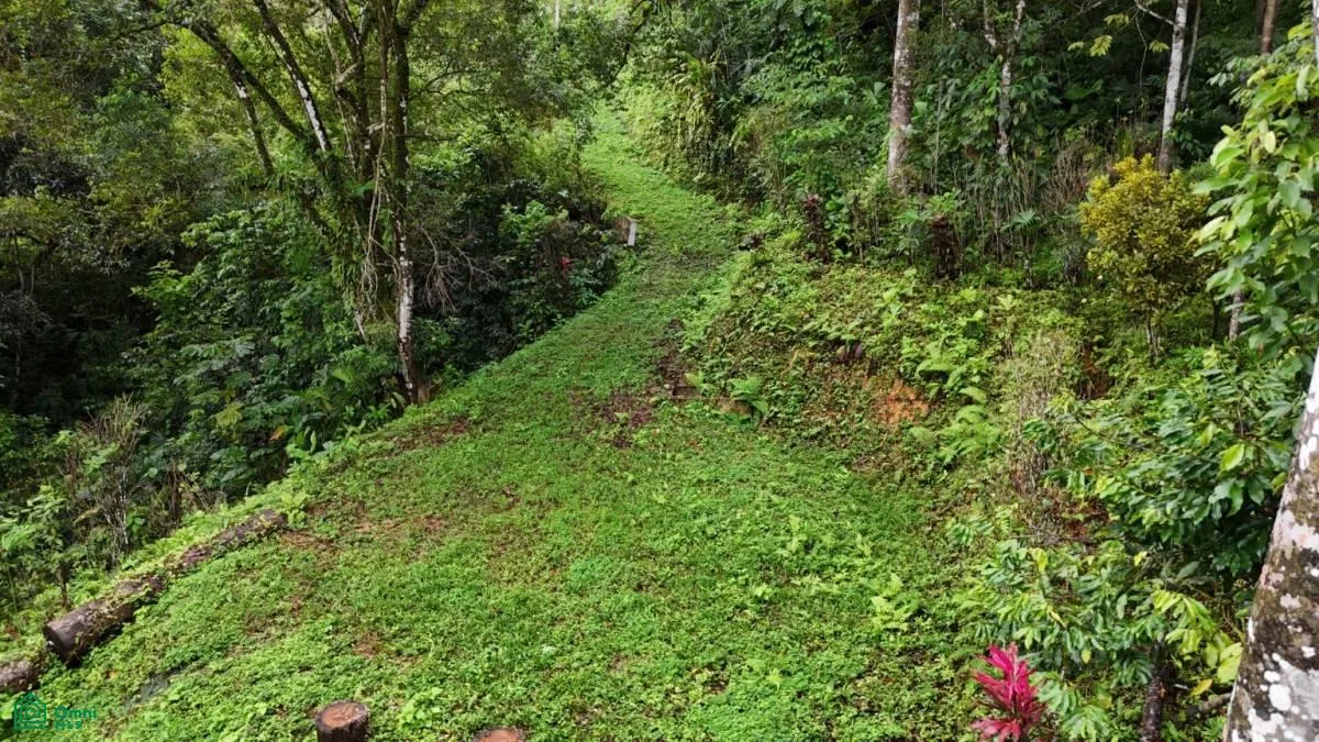 Tropical Oasis with Unmatched Views of the Diamante Waterfall , Tinamaste, Perez Zeledon, San Jose, photo 8