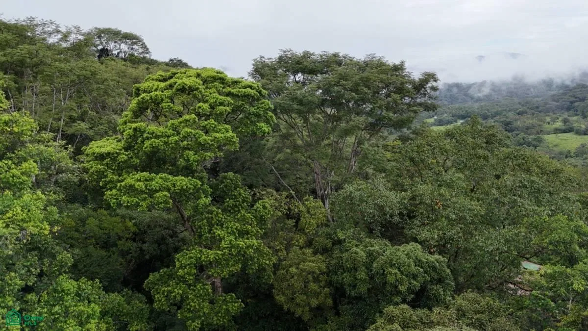 Tropical Oasis with Unmatched Views of the Diamante Waterfall , Tinamaste, Perez Zeledon, San Jose, photo 10