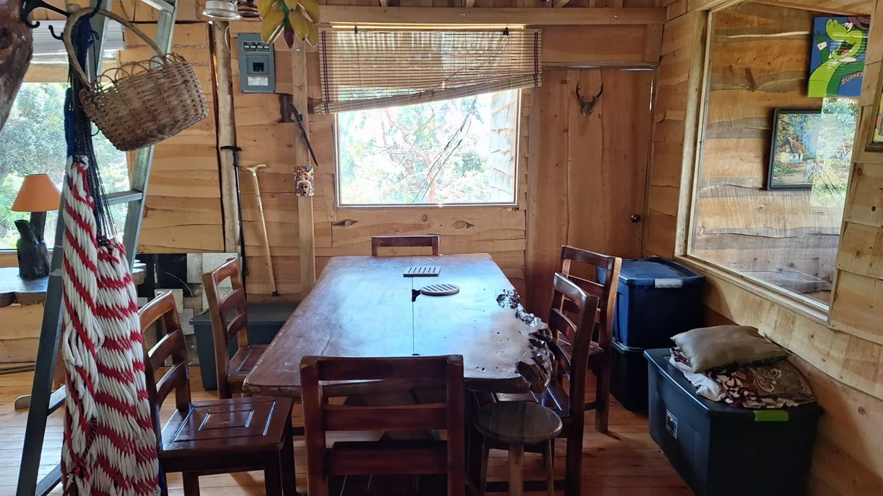 Beautiful Cabin For Sale In The Heart Of Primary Forest With Stunning Ocean Views In Perez Zeledon, photo 11
