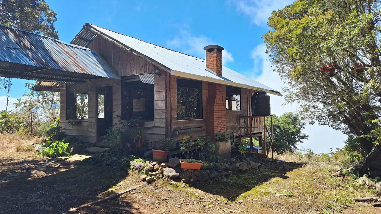 Beautiful Cabin For Sale In The Heart Of Primary Forest With Stunning Ocean Views In Perez Zeledon, photo 12