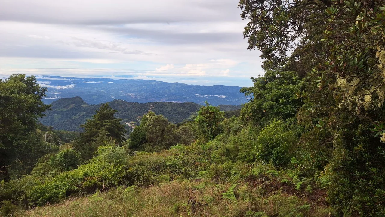 Beautiful Cabin For Sale In The Heart Of Primary Forest With Stunning Ocean Views In Perez Zeledon, photo 6