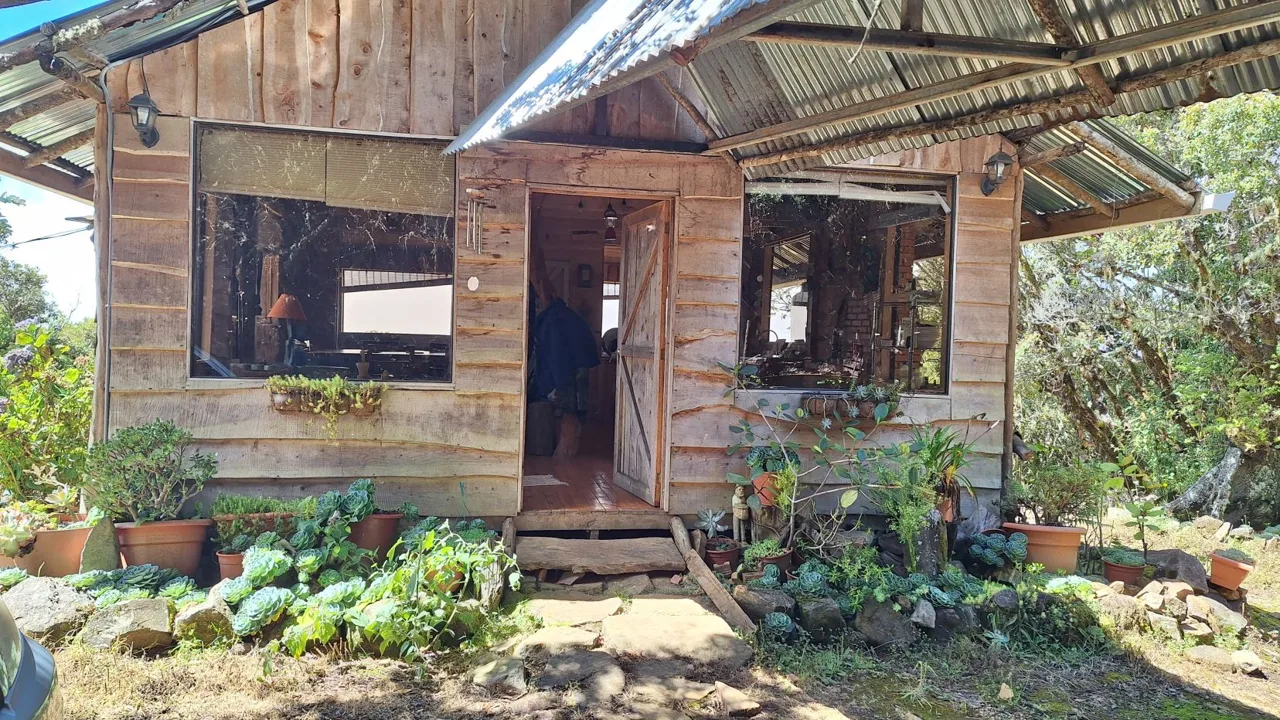 Beautiful Cabin For Sale In The Heart Of Primary Forest With Stunning Ocean Views In Perez Zeledon, photo 7