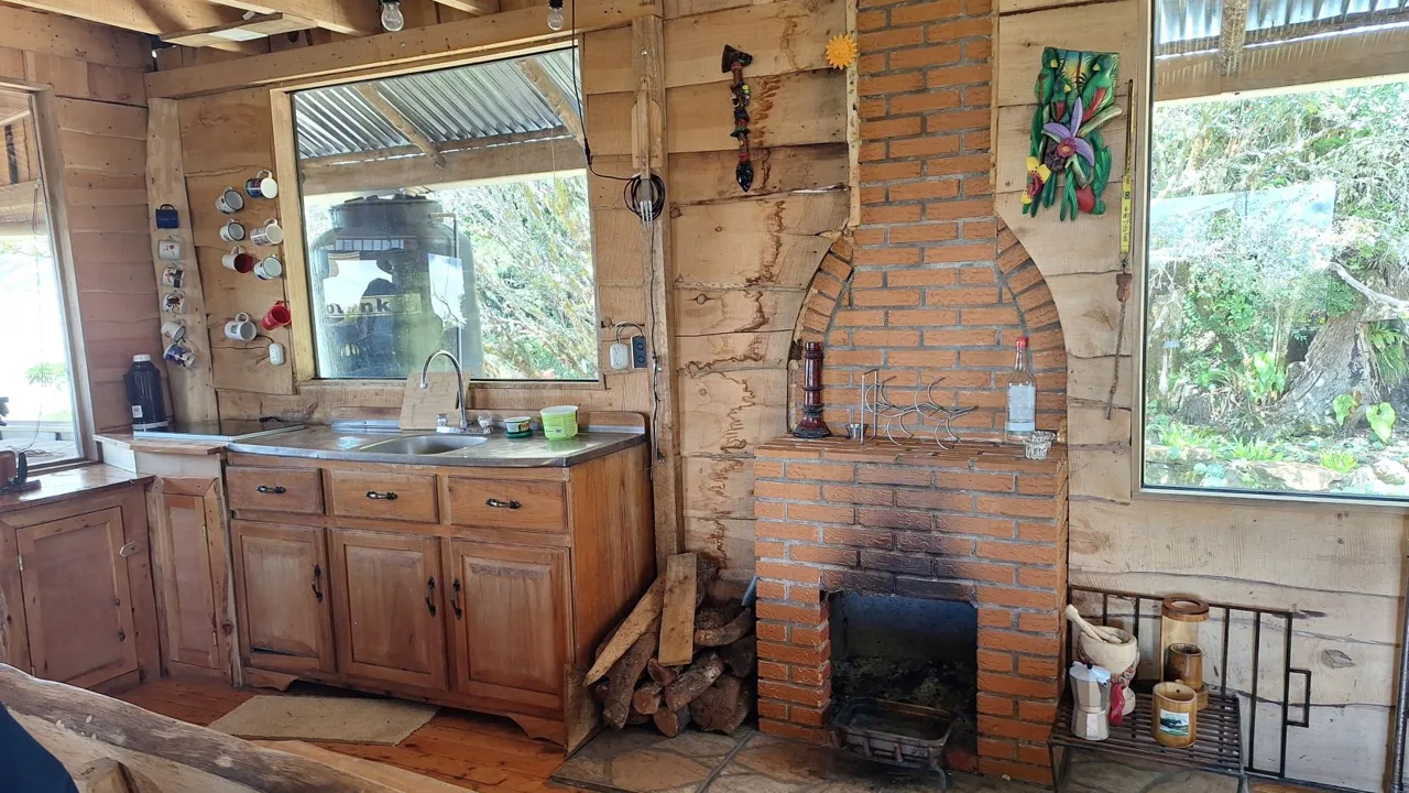 Beautiful Cabin For Sale In The Heart Of Primary Forest With Stunning Ocean Views In Perez Zeledon, photo 8