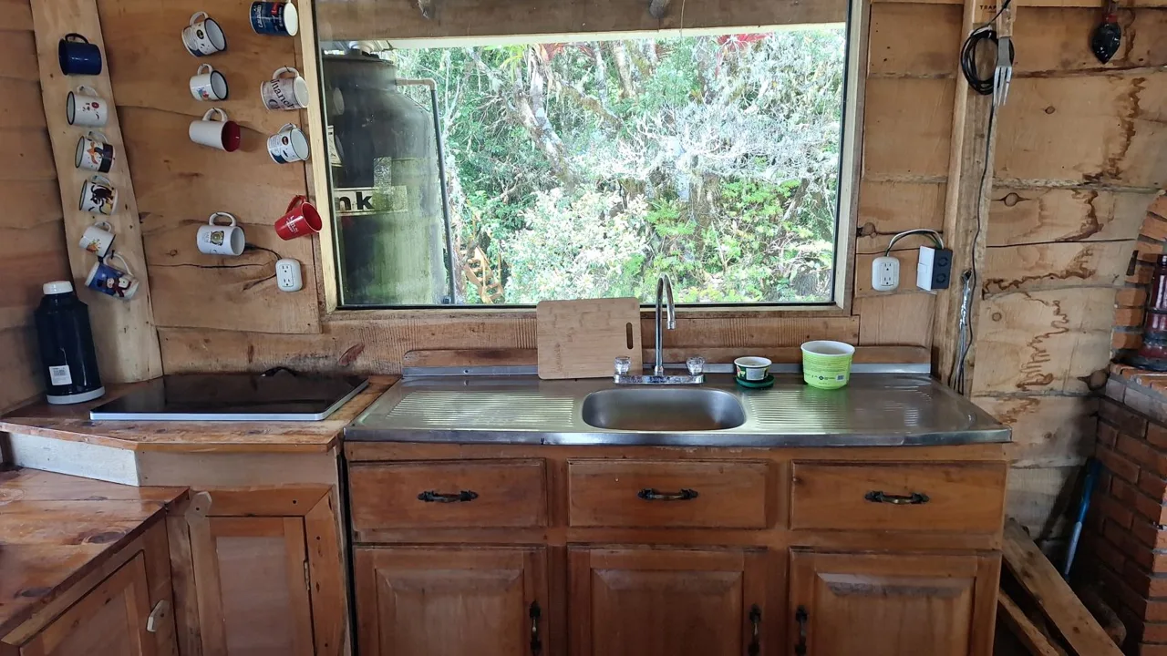 Beautiful Cabin For Sale In The Heart Of Primary Forest With Stunning Ocean Views In Perez Zeledon, photo 9