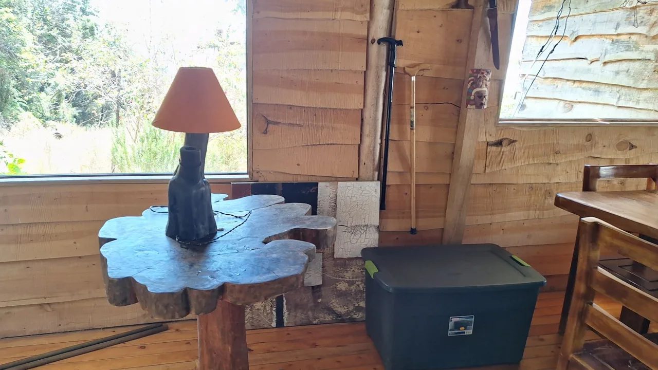 Beautiful Cabin For Sale In The Heart Of Primary Forest With Stunning Ocean Views In Perez Zeledon, photo 10