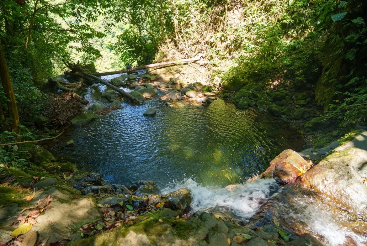 LUXURIOUS RETREAT WITH LARGE WATERFALL ON THE PROPERTY AND EXPANSIVE OCEAN VIEW – 12 ACRES, photo 11